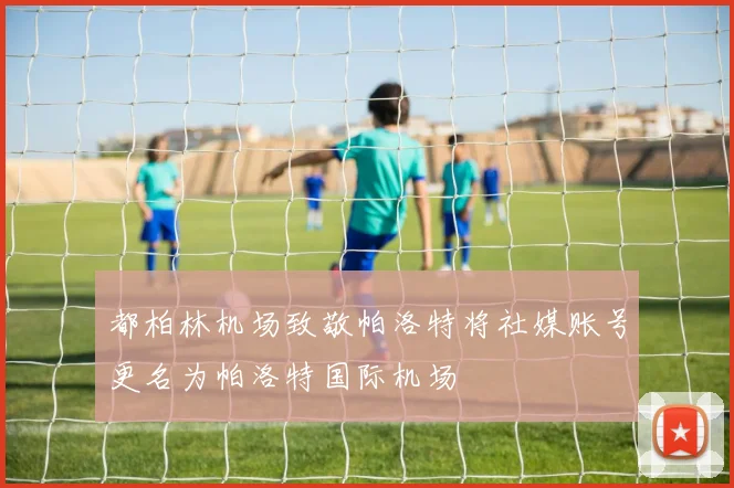 都柏林机场致敬帕洛特将社媒账号更名为帕洛特国际机场