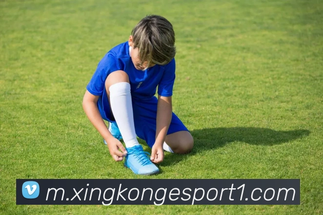 App Interface Preview