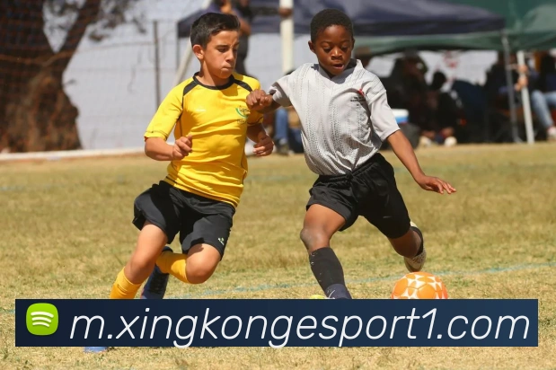 星空电竞APP 封面图